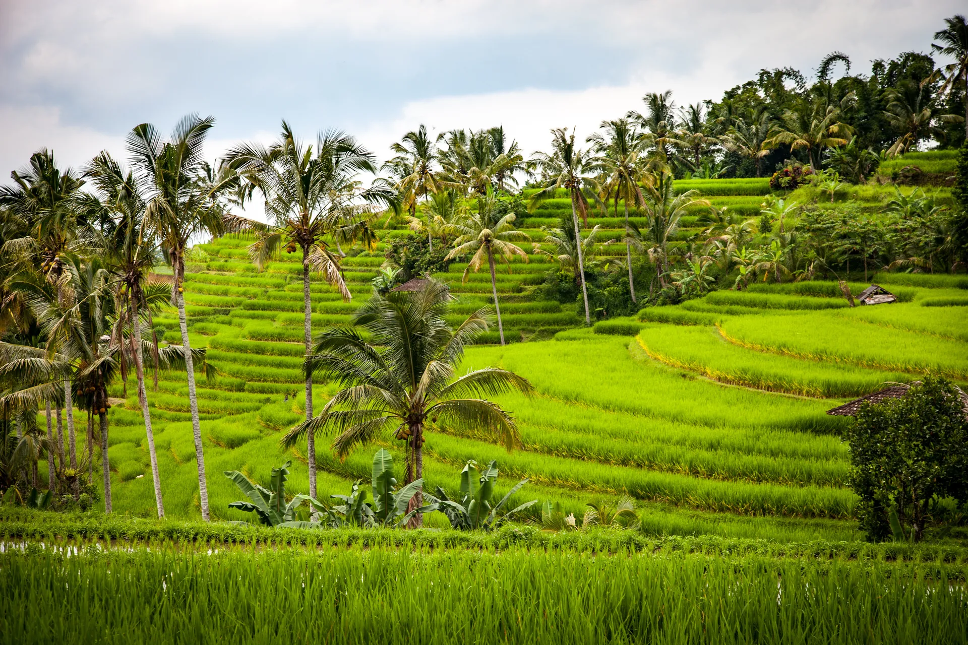 Am Hiểu FDI & Văn Hóa Địa Phương